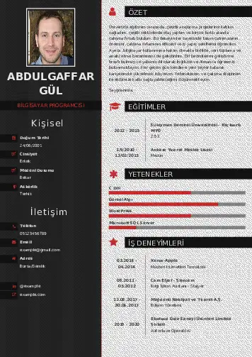 Bilgisayar Programcısı CV Örnekleri cv indir